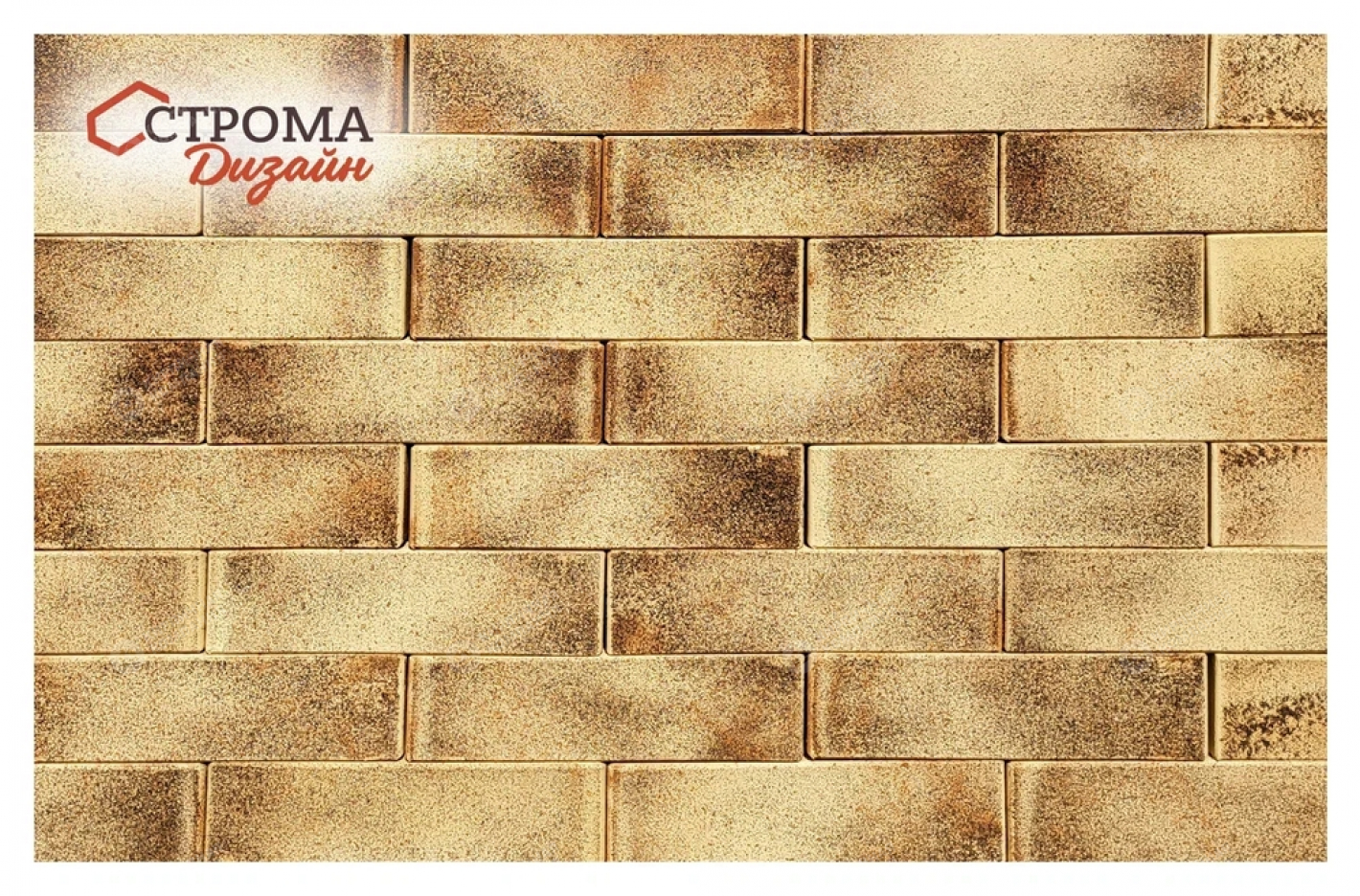 СОЛАРИ 1,4НФ пустотелый