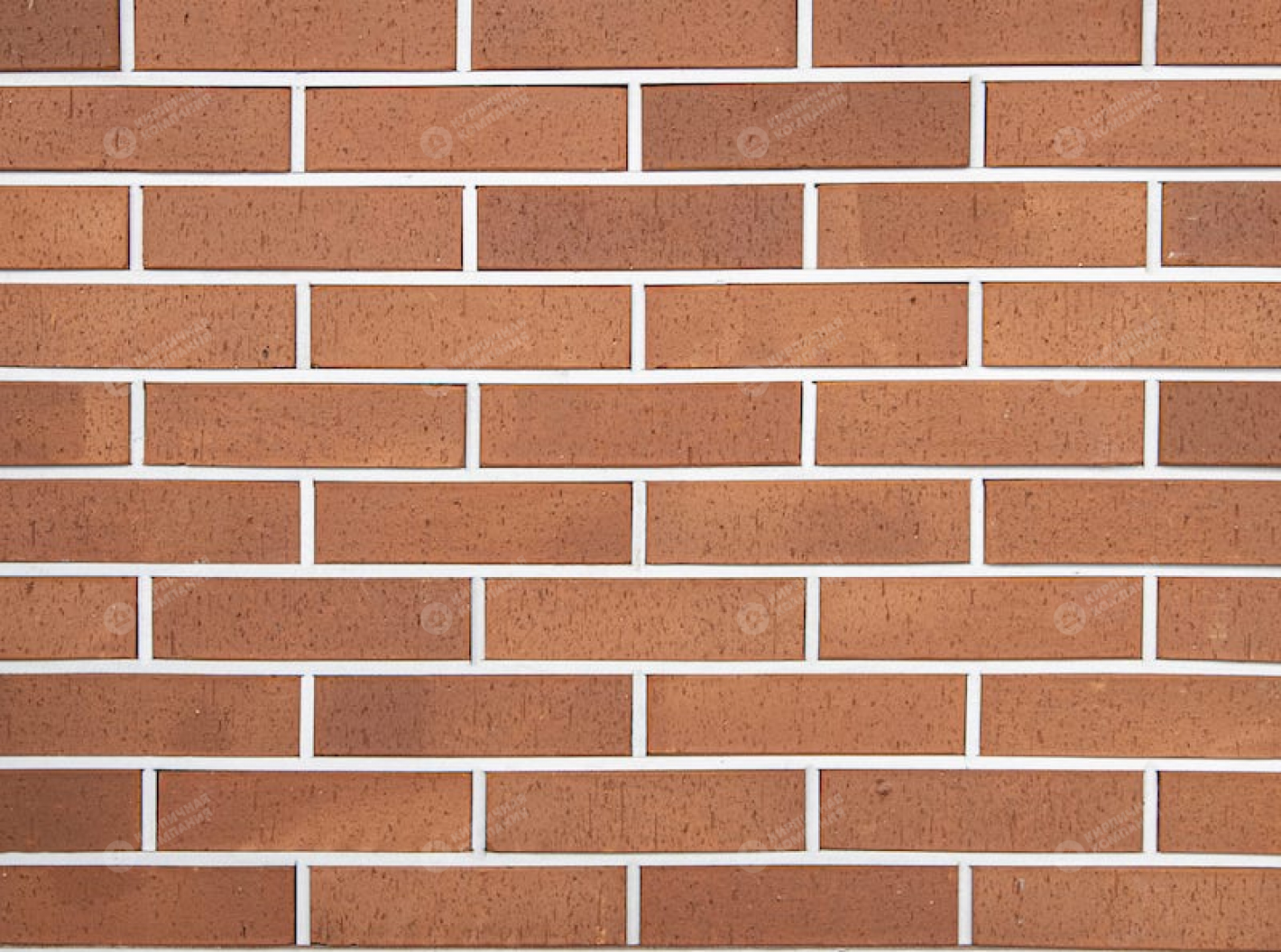 КРАСНЫЙ КАРЕ 1НФ пустотелый