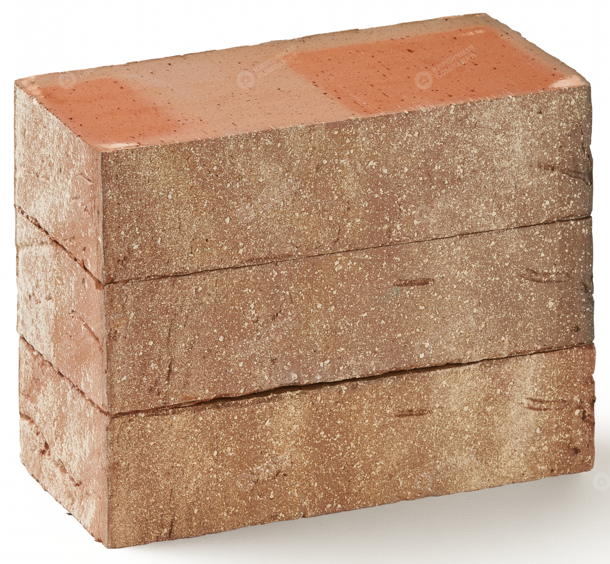 МАРКСБУРГ БЕЛЫЙ 1НФ полнотелый