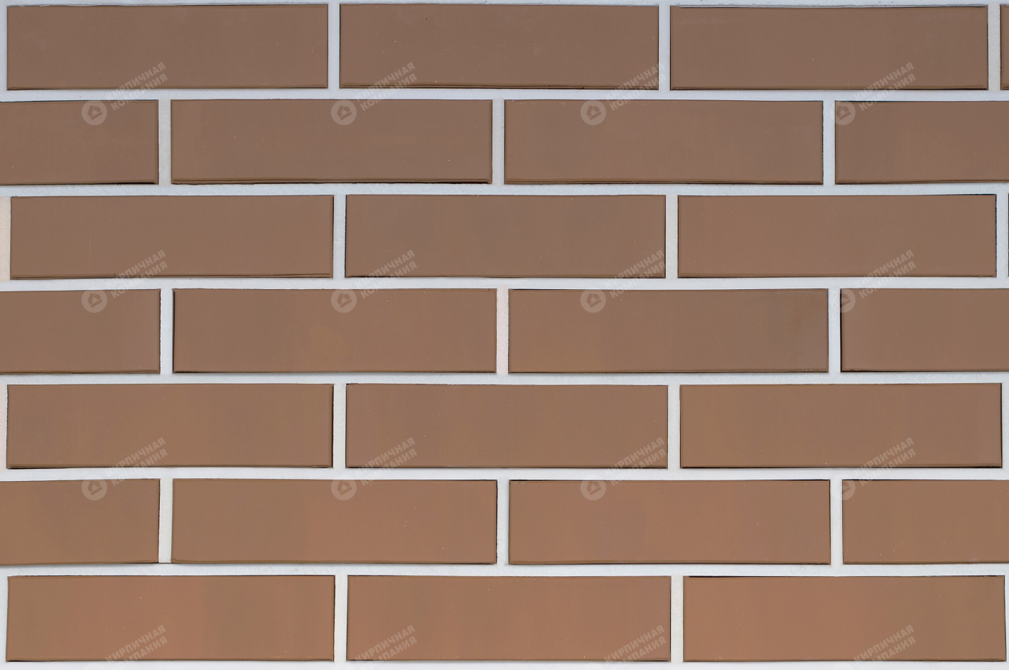 ТЕРРАКОТ ГЛАДКИЙ 1НФ пустотелый