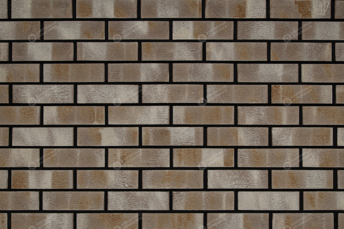 WDF EDEN пустотелый