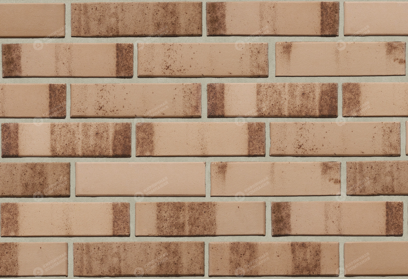 ЭРФУРТ ВЮСТЕ 1 НФ пустотелый